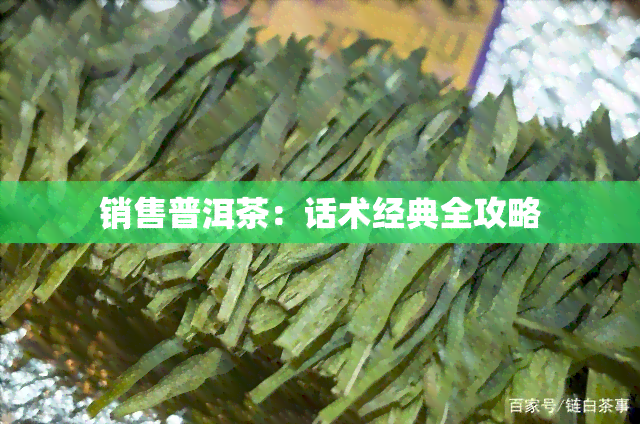 销售普洱茶：话术经典全攻略