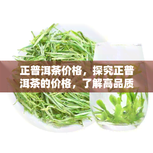 正普洱茶价格，探究正普洱茶的价格，了解高品质茶叶的价值