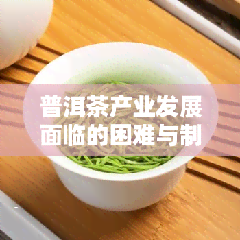 普洱茶产业发展面临的困难与制约：问题与因素分析