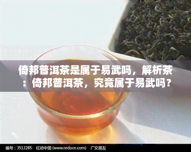 倚邦普洱茶是属于易武吗，解析茶：倚邦普洱茶，究竟属于易武吗？