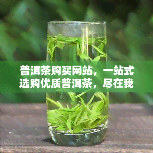 普洱茶购买网站，一站式选购优质普洱茶，尽在我们的专业购买网站！