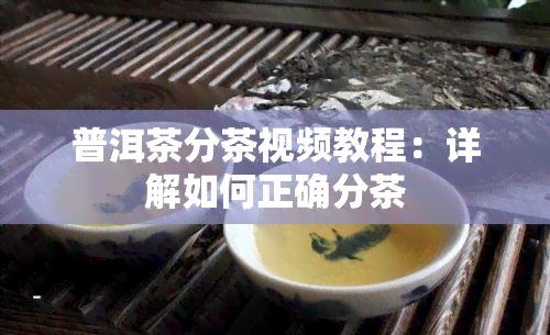 普洱茶分茶视频教程：详解如何正确分茶