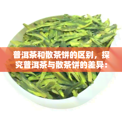 普洱茶和散茶饼的区别，探究普洱茶与散茶饼的差异：口感、保存方式及选购建议