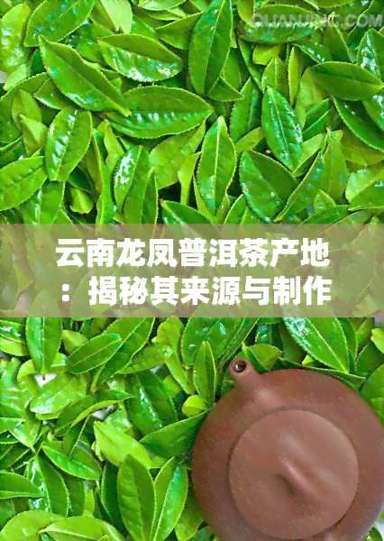 云南龙凤普洱茶产地：揭秘其来源与制作工艺