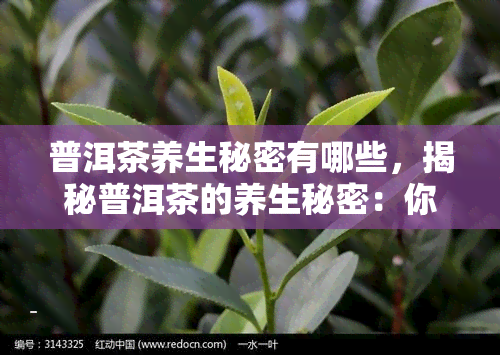 普洱茶养生秘密有哪些，揭秘普洱茶的养生秘密：你不知道的功效和好处！