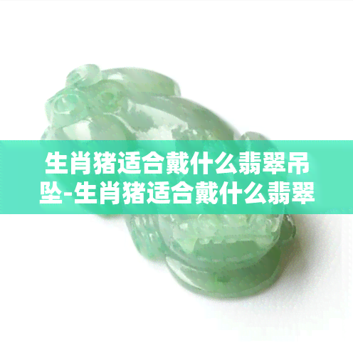 生肖猪适合戴什么翡翠吊坠-生肖猪适合戴什么翡翠吊坠呢