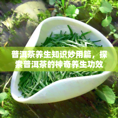 普洱茶养生知识妙用篇，探索普洱茶的神奇养生功效：一篇全面的妙用指南