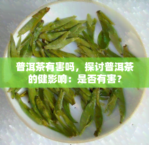 普洱茶有害吗，探讨普洱茶的健影响：是否有害？