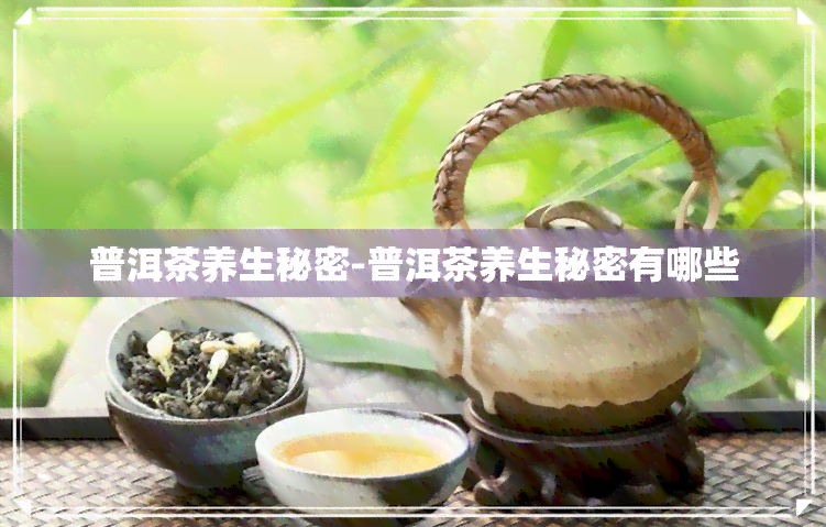 普洱茶养生秘密-普洱茶养生秘密有哪些