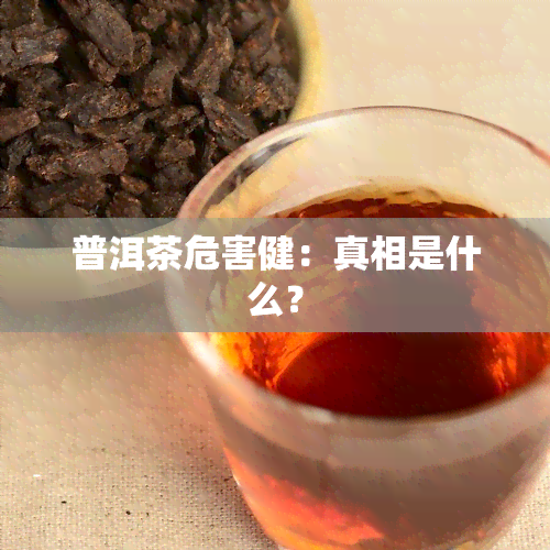 普洱茶危害健：真相是什么？