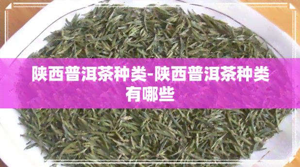 陕西普洱茶种类-陕西普洱茶种类有哪些