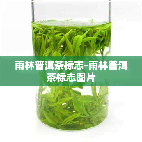 雨林普洱茶标志-雨林普洱茶标志图片