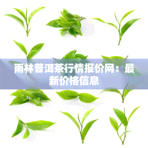 雨林普洱茶行情报价网：最新价格信息