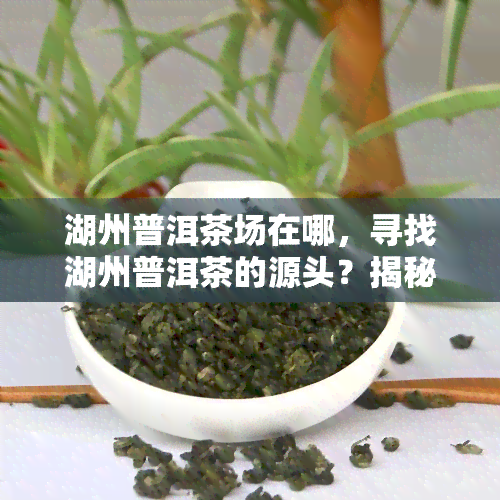 湖州普洱茶场在哪，寻找湖州普洱茶的源头？揭秘湖州普洱茶场位置！