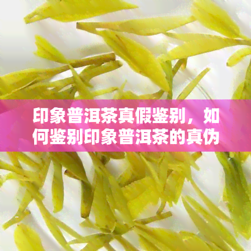 印象普洱茶真假鉴别，如何鉴别印象普洱茶的真伪？