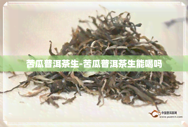 苦瓜普洱茶生-苦瓜普洱茶生能喝吗