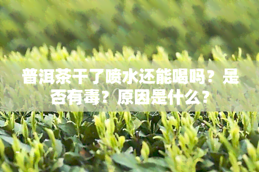 普洱茶干了喷水还能喝吗？是否有？原因是什么？