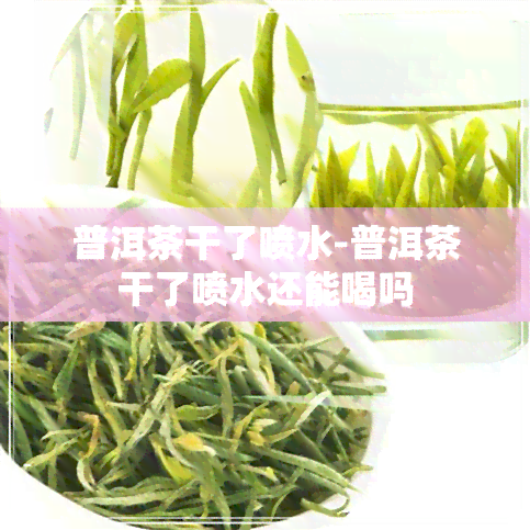 普洱茶干了喷水-普洱茶干了喷水还能喝吗