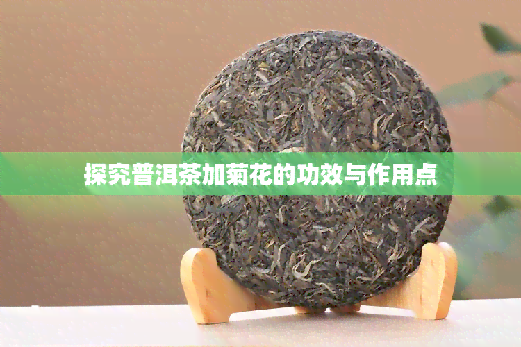 探究普洱茶加菊花的功效与作用点