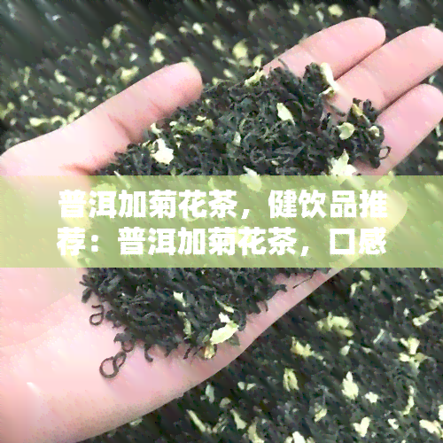 普洱加菊花茶，健饮品推荐：普洱加菊花茶，口感清新，养生必备！