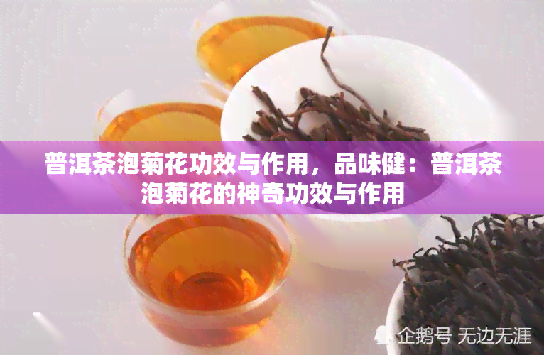 普洱茶泡菊花功效与作用，品味健：普洱茶泡菊花的神奇功效与作用