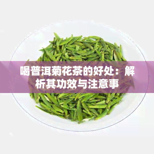 喝普洱菊花茶的好处：解析其功效与注意事