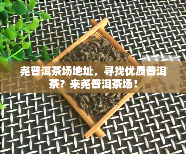 尧普洱茶场地址，寻找优质普洱茶？来尧普洱茶场！