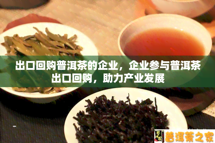 出口回购普洱茶的企业，企业参与普洱茶出口回购，助力产业发展