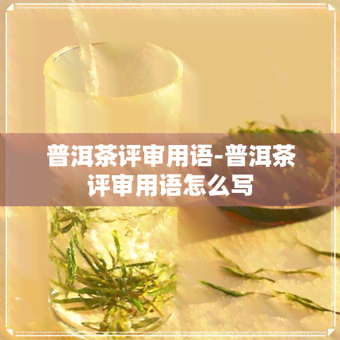 普洱茶评审用语-普洱茶评审用语怎么写