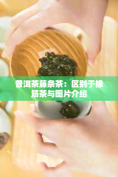 普洱茶藤条茶：区别于橡筋茶与图片介绍