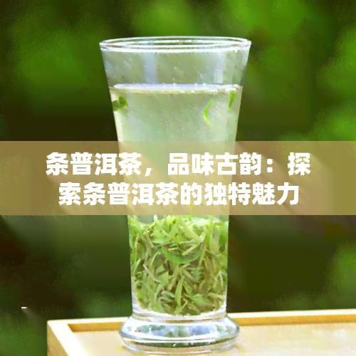 条普洱茶，品味古韵：探索条普洱茶的独特魅力