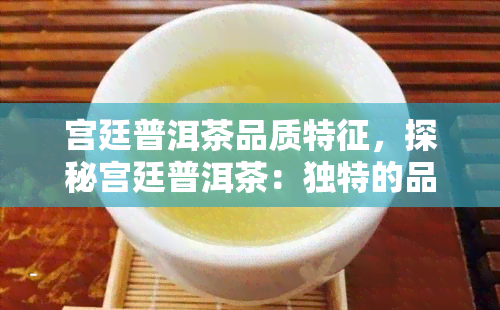 宫廷普洱茶品质特征，探秘宫廷普洱茶：独特的品质特征与鉴方法