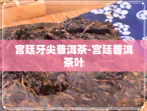 宫廷牙尖普洱茶-宫廷普洱茶叶