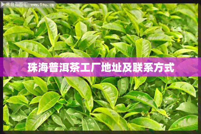 珠海普洱茶工厂地址及联系方式