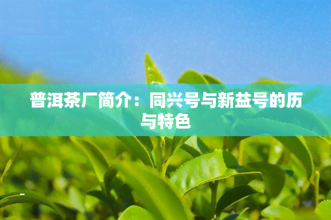 普洱茶厂简介：同兴号与新益号的历与特色