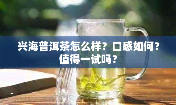 兴海普洱茶怎么样？口感如何？值得一试吗？