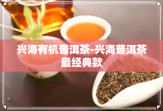 兴海有机普洱茶-兴海普洱茶最经典款