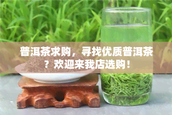 普洱茶求购，寻找优质普洱茶？欢迎来我店选购！