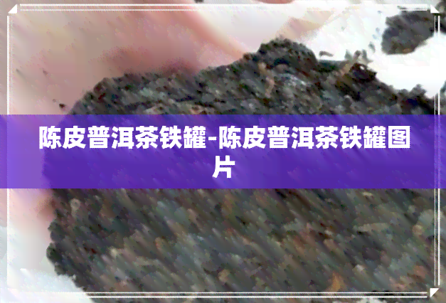 陈皮普洱茶铁罐-陈皮普洱茶铁罐图片