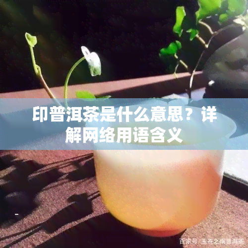 印普洱茶是什么意思？详解网络用语含义