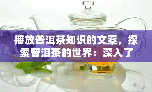 播放普洱茶知识的文案，探索普洱茶的世界：深入了解其知识与文化