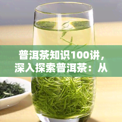 普洱茶知识100讲，深入探索普洱茶：从入门到精通的100个关键知识点