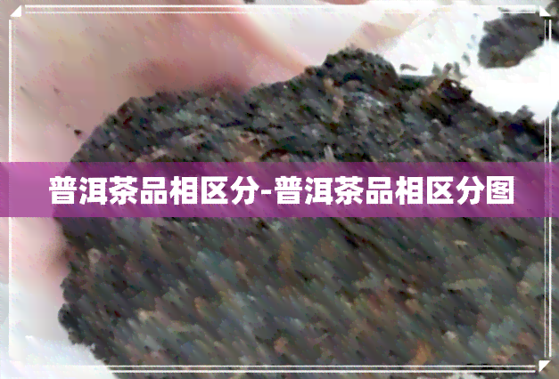 普洱茶品相区分-普洱茶品相区分图