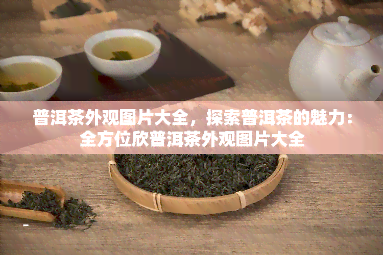 普洱茶外观图片大全，探索普洱茶的魅力：全方位欣普洱茶外观图片大全