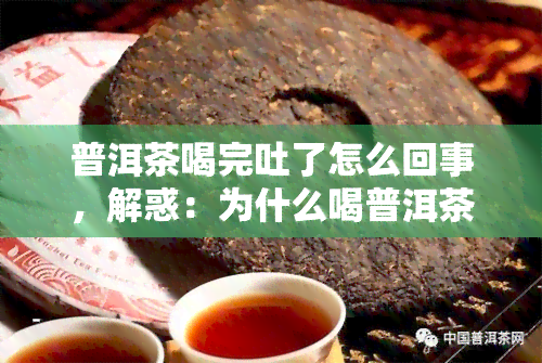 普洱茶喝完吐了怎么回事，解惑：为什么喝普洱茶后会恶心呕吐？