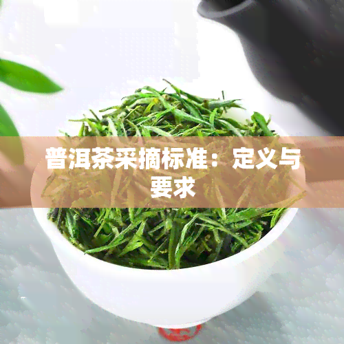 普洱茶采摘标准：定义与要求