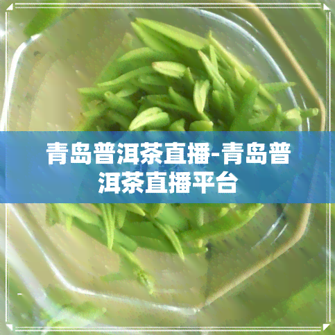 青岛普洱茶直播-青岛普洱茶直播平台