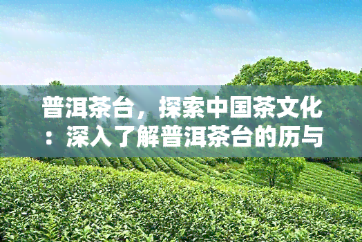 普洱茶台，探索中国茶文化：深入了解普洱茶台的历与制作工艺