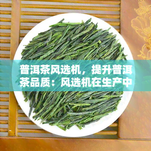 普洱茶风选机，提升普洱茶品质：风选机在生产中的应用