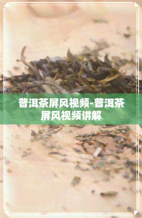 普洱茶屏风视频-普洱茶屏风视频讲解